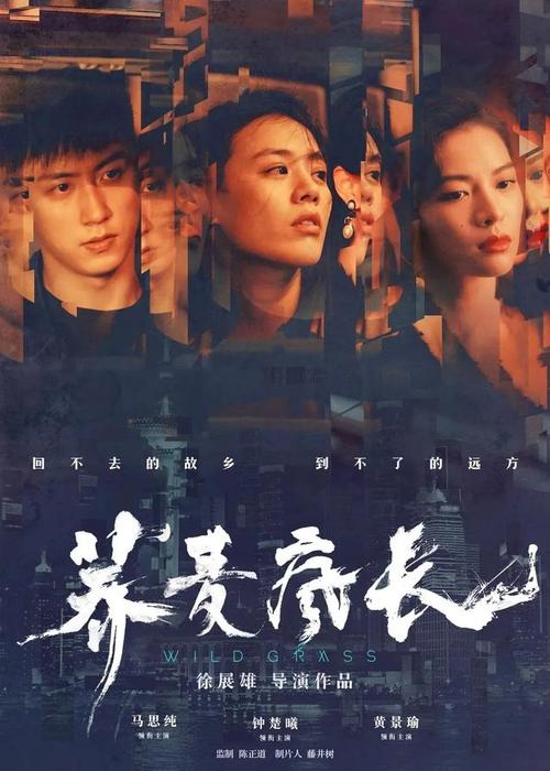 爱尔兰国立大学毕业证